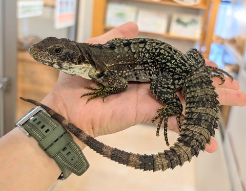 PXL_20250820_105252061~2