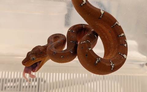 PXL_20251202_130609238~2