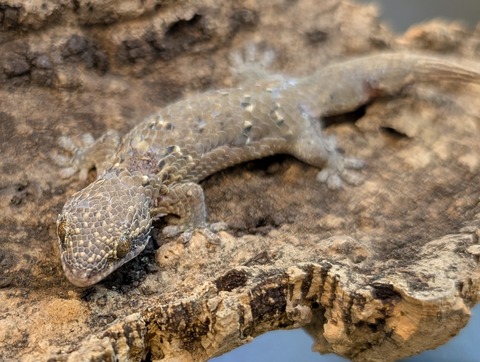 PXL_20250207_110201906~2