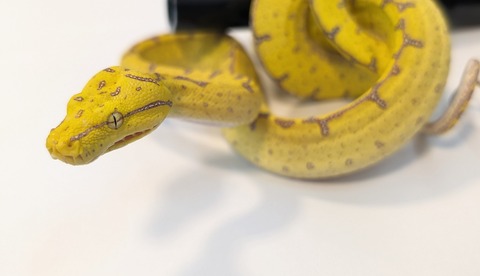 PXL_20251022_093800084~2