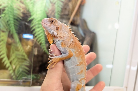 PXL_20250919_070209595~2