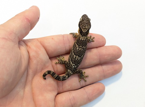 PXL_20250623_110715184~2