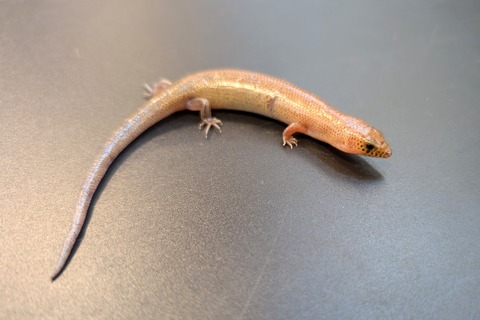 PXL_20241228_093929690~2