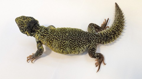 PXL_20251004_090002905~2