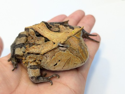 PXL_20250424_085800396~2