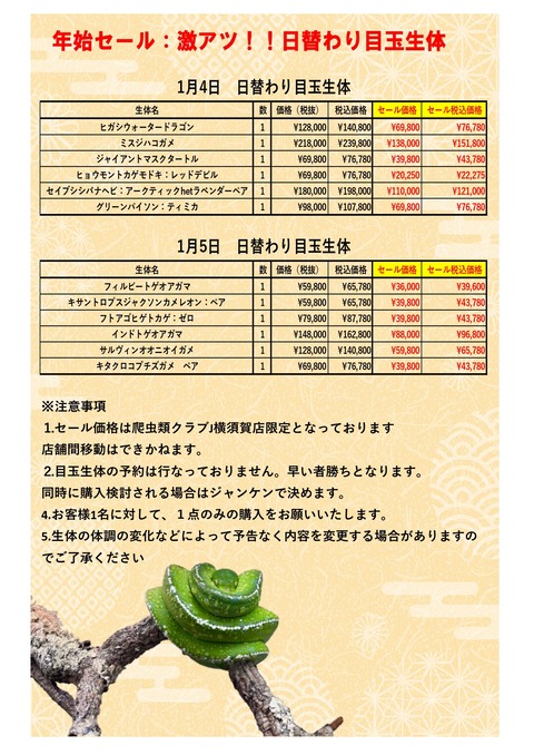 日替わり生体4〜5_page-0001