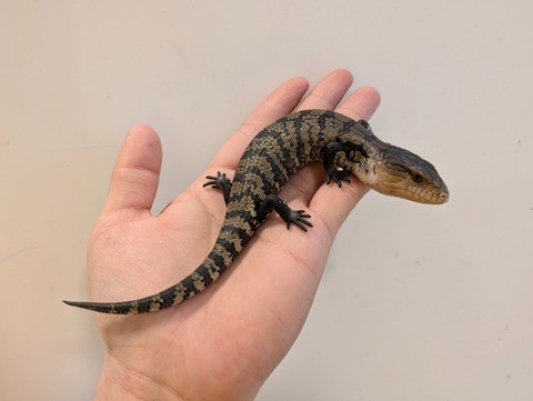 PXL_20241228_101048366~2