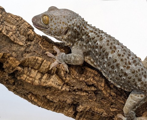 PXL_20251104_111046646~2