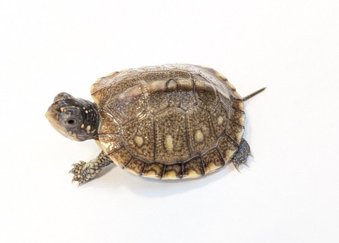 PXL_20251103_101357889