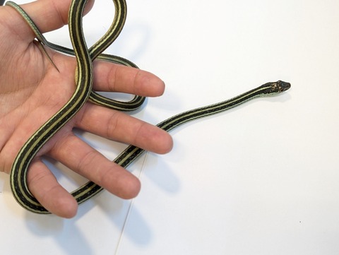 PXL_20250401_100105011~2