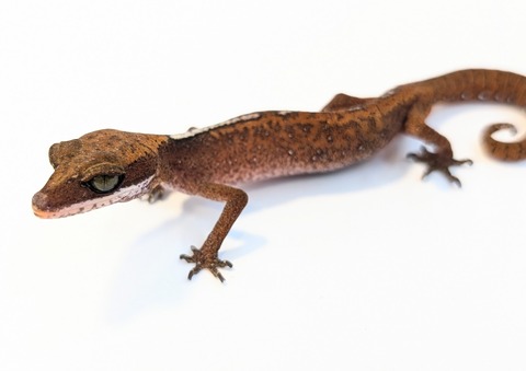 PXL_20250715_100915267~2