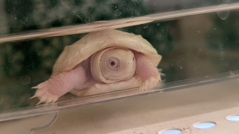 PXL_20260102_093614132~2