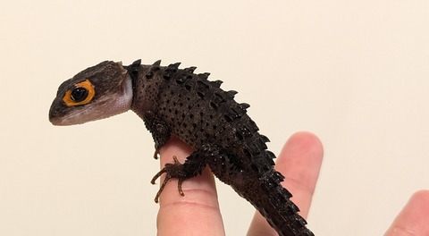 PXL_20251122_061426439~2