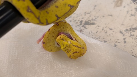 PXL_20251022_065243345