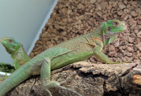 PXL_20260102_081846553~2