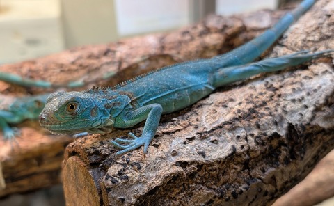 PXL_20250628_105405691~2