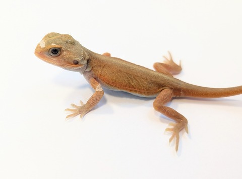 PXL_20250716_082608501~2