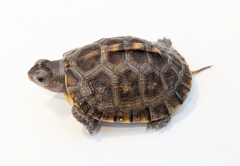 PXL_20251103_095951800~2