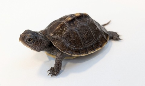 PXL_20251103_100210392~2