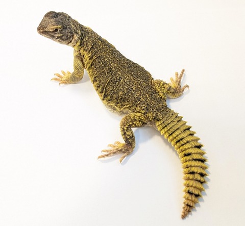 PXL_20250715_094330953~2