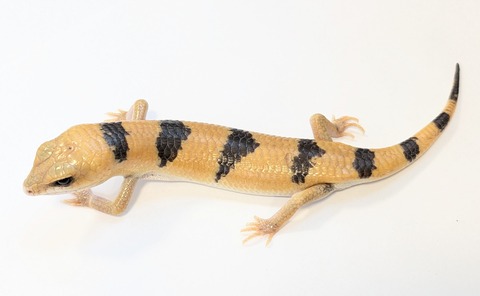 PXL_20250504_111337691~2