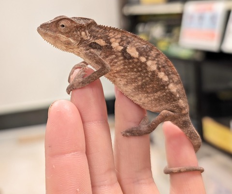 PXL_20250504_112423215~2