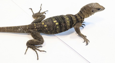 PXL_20250903_114841380~2