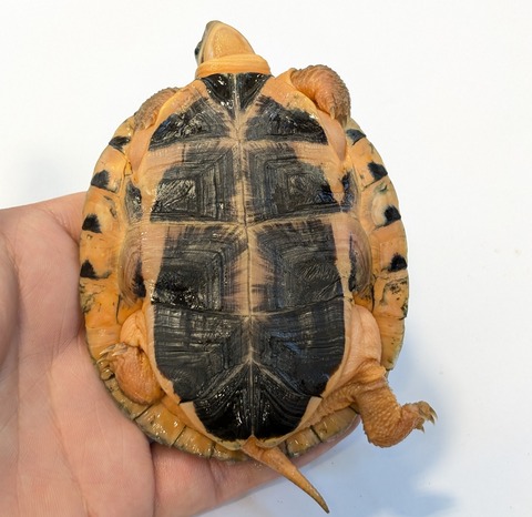 PXL_20250622_120048424~2