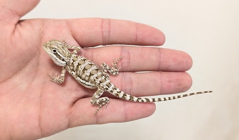 PXL_20251120_075434793~2