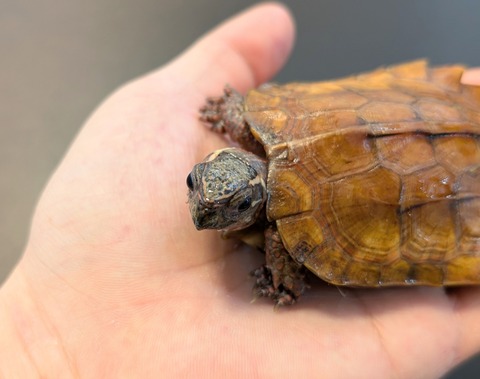 PXL_20250106_095503036~2