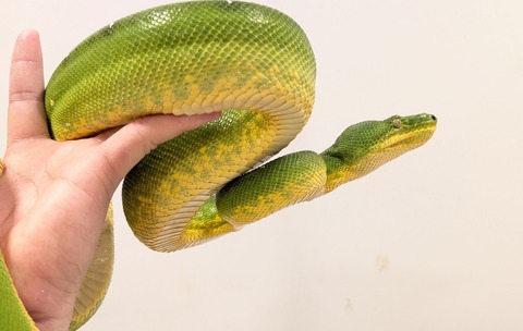 PXL_20250905_065553641~2