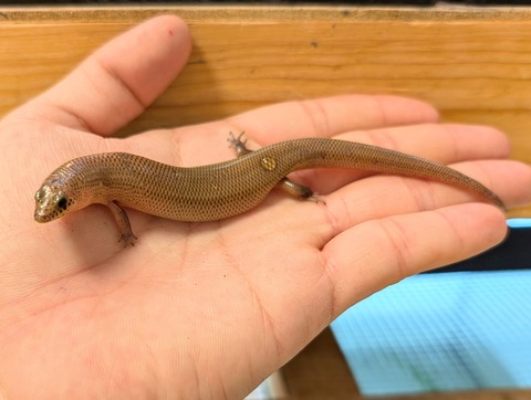 PXL_20241228_034904690~2