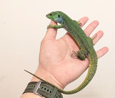 PXL_20251120_075332301~2