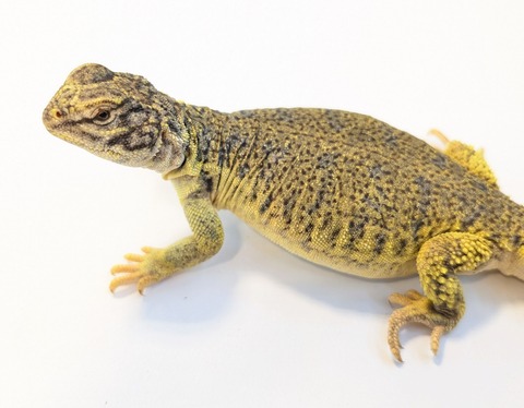 PXL_20250715_094743512~2