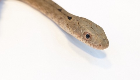 PXL_20251027_105110806~2