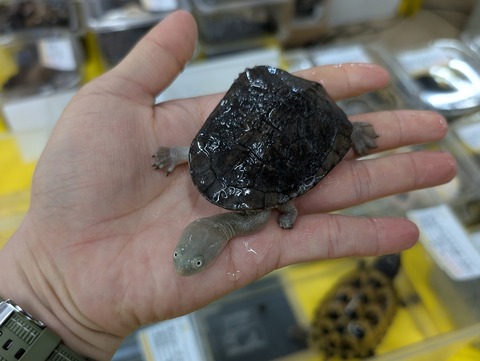 PXL_20250322_072341625~2