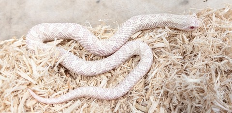 PXL_20260101_101911605~2