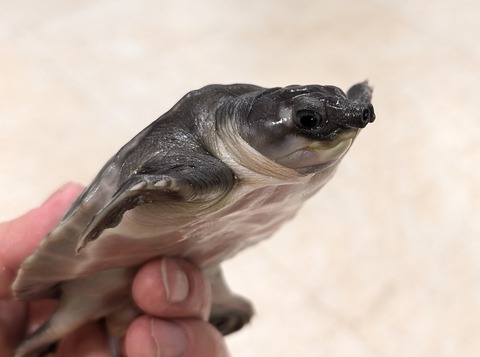 PXL_20260129_075627805~2