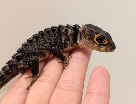 PXL_20250620_133438633~2