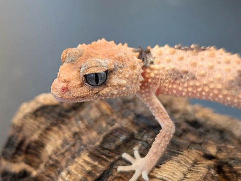 PXL_20250106_101002086~2