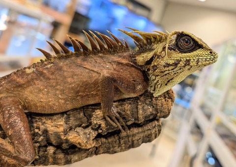 PXL_20251104_102223513~2