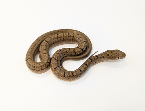 PXL_20251027_103411855~2