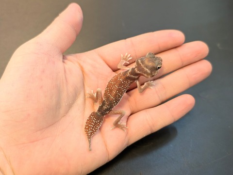 PXL_20250106_100826464~2