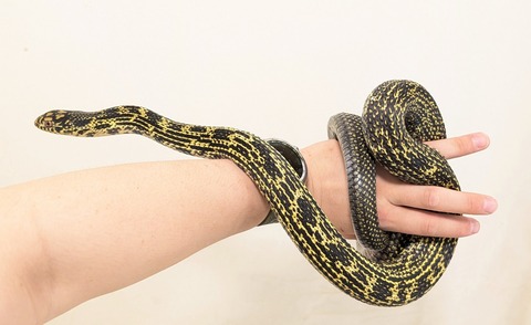 PXL_20251027_084328535~2