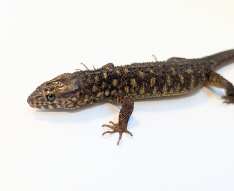 PXL_20250501_083842023~3