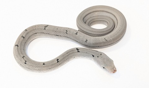 PXL_20251031_111004189~2