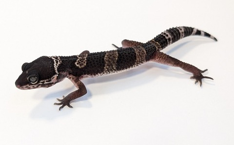 PXL_20251124_110614608~2