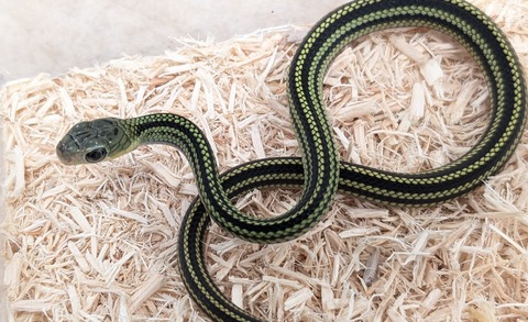 PXL_20251122_063539067