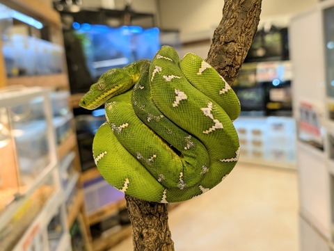 PXL_20241224_110250337~2