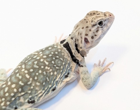 PXL_20250508_100458267~2